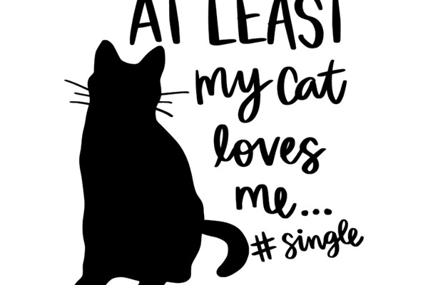 At Least My Cat Loves Me: A Single Cat's Perspective on Life