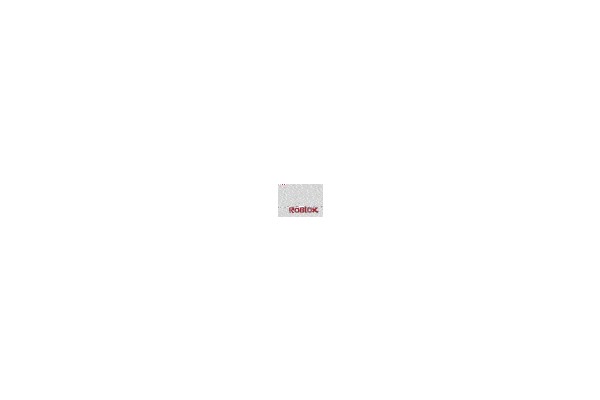 Roblox Logo