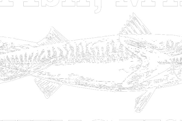 A Fisherman's Dream: Capturing the Perfect Fish