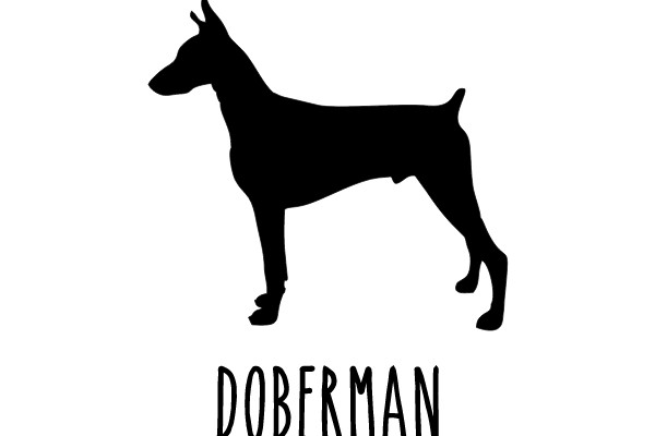 Doberman