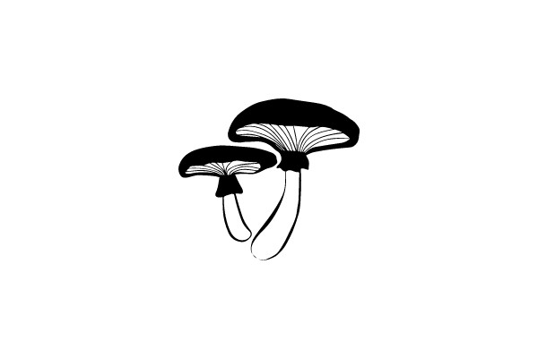 Mushroom Silhouette