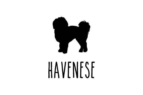 HAVENES