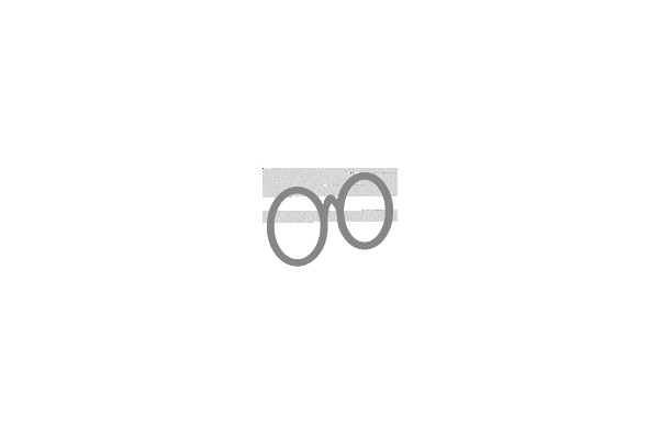 A Pair of Glasses