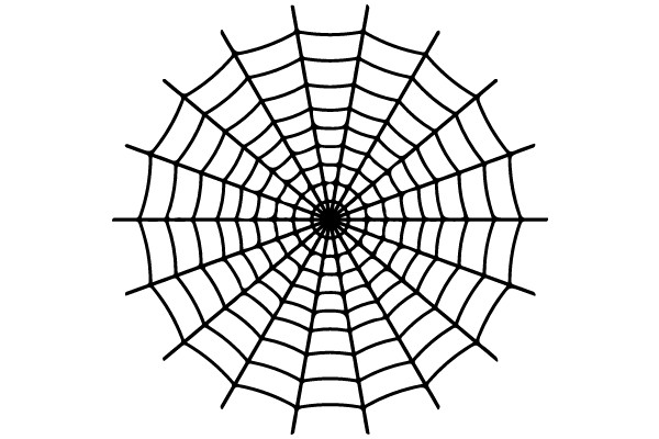 The Intricate Beauty of a Spider's Web