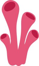 Vibrant Pink Coral-like Structure