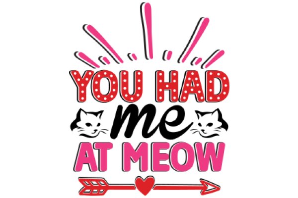 Celebrating Your Love for Meow: A Heartfelt Message from Your Feline Friend