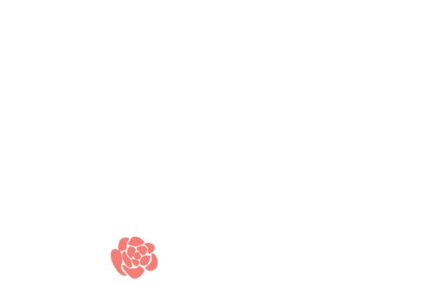 A Solitary Pink Flower in a White Sky