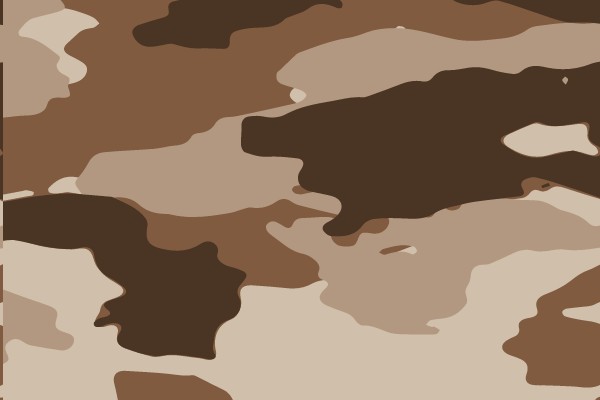 Camouflage Pattern
