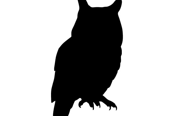 Owl Silhouette