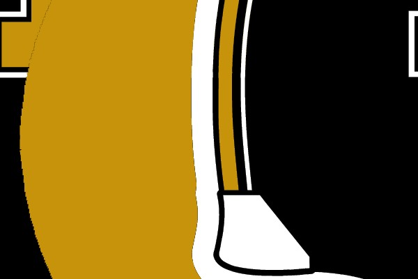 Michigan Wolverines Football Helmet Logo