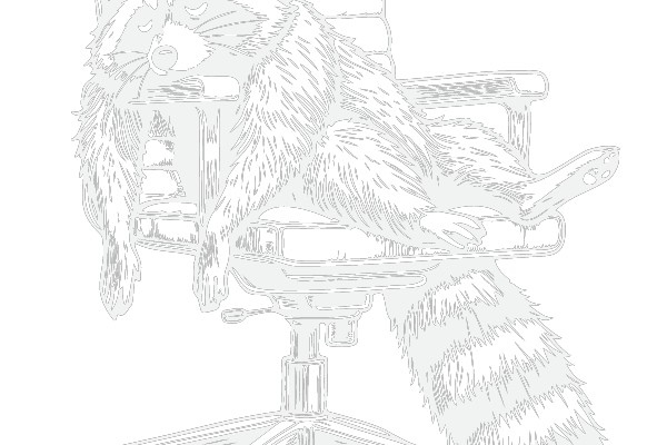A Raccoon's Perspective: The Office Chair as a Comfortable and Convenient Resting Spot