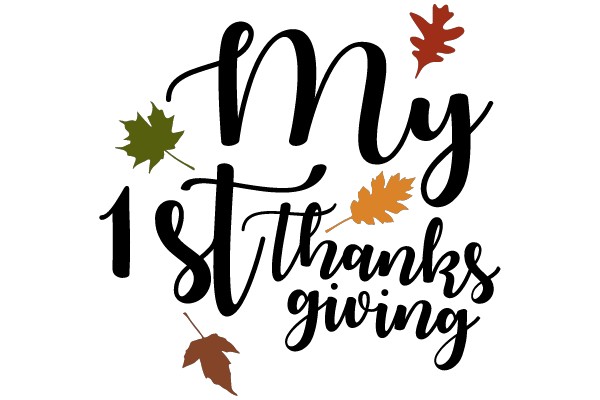 My 1st Thanksgiving