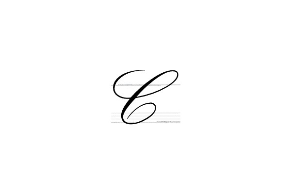 Calligraphic E - A Study in Flourishes