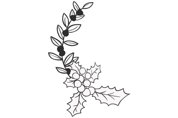Nature's Palette: A Sketch of a Holly Branch