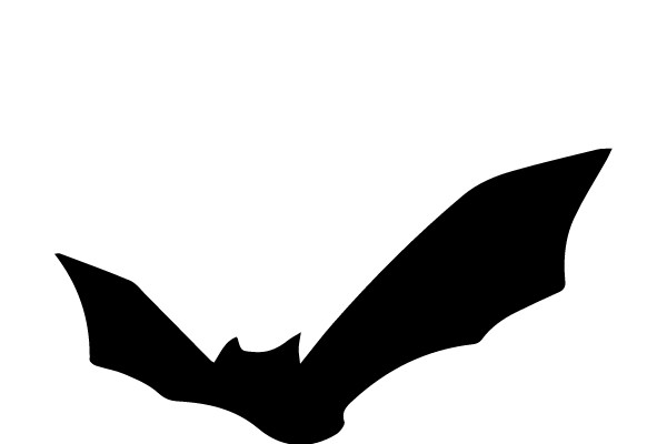 Bats in Flight