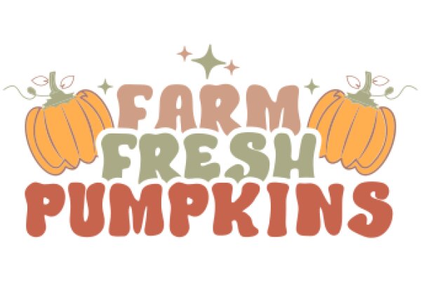 Farm Fresh Pumpkins: A Delightful Autumn Harvest