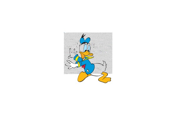Duck in Motion