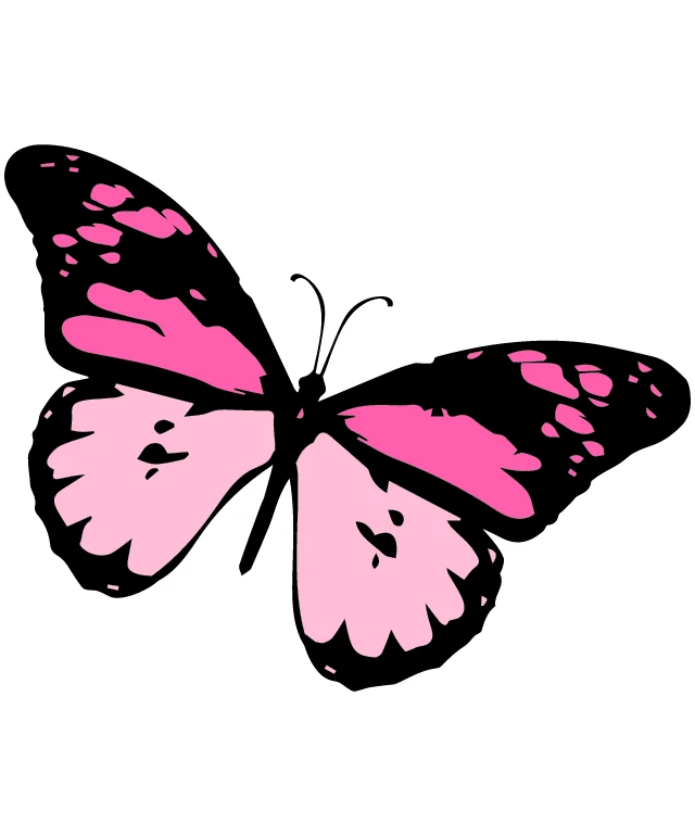 Love Pink Butterfly