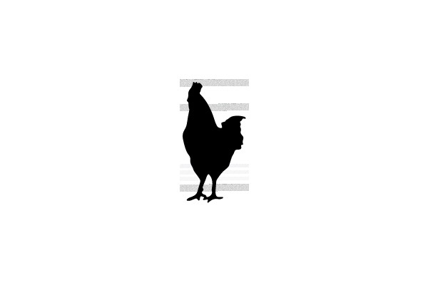 Silhouette of a Chicken