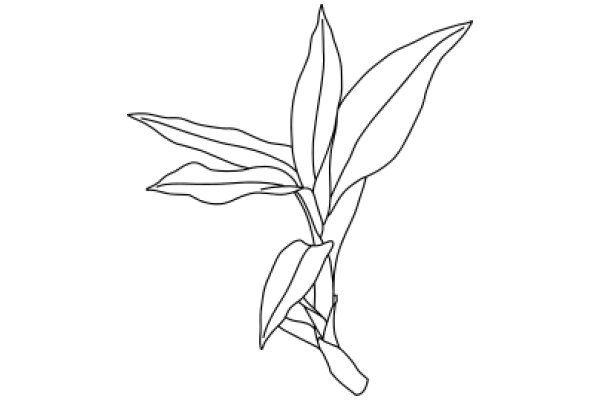 Simplistic Line Drawing of a Flower