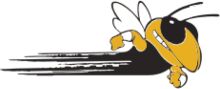 A Playful Encounter with a Cartoon Bee