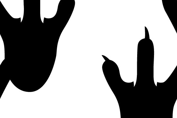 Silhouettes of Feet