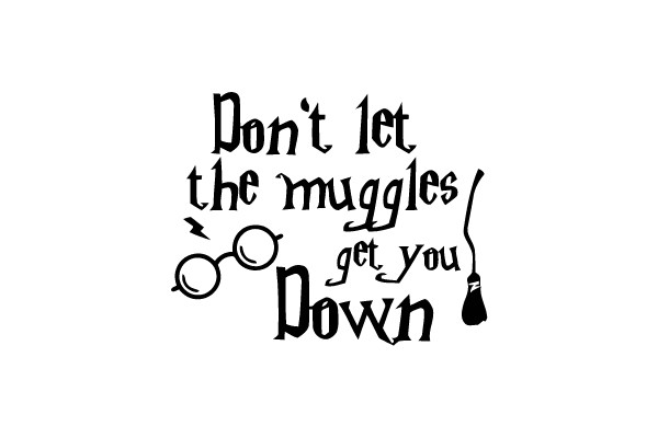 Don't let the muggles get you down