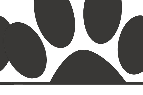 Paw Print Symbol
