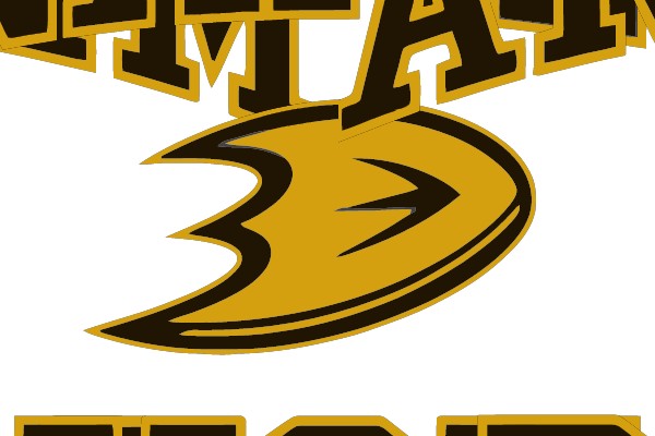 Anaheim Ducks Team Logo