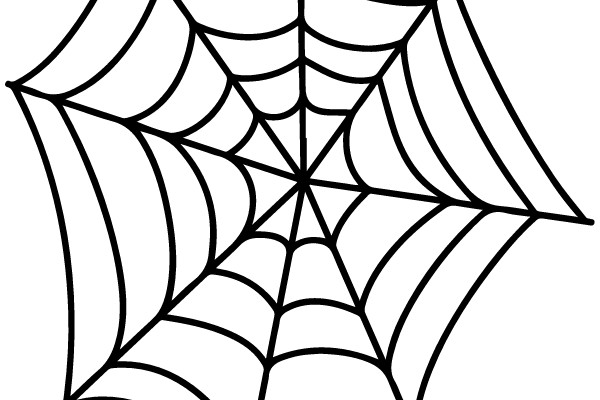 Spooky Spider Web
