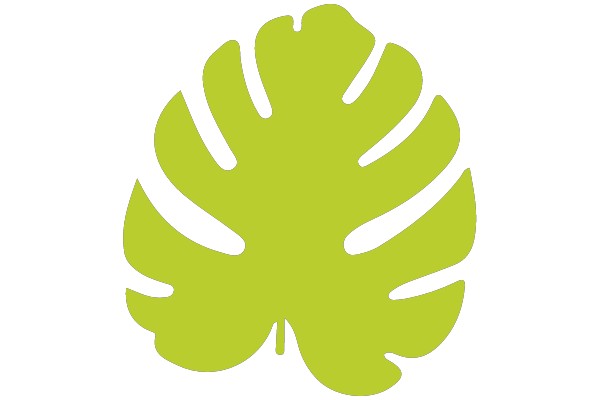 Tropical Monstera Leaf