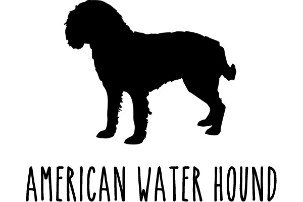American Water Hound