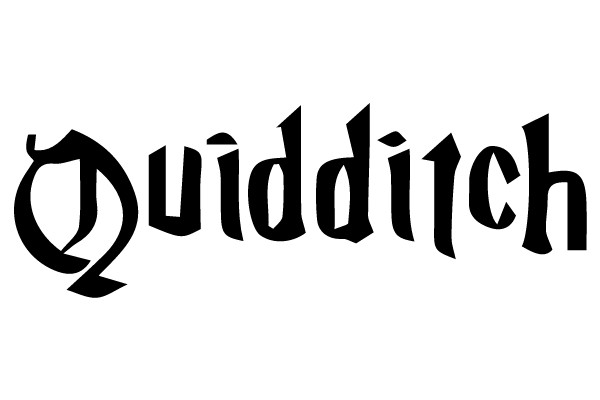 Quidditch