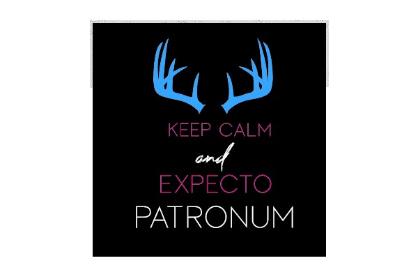 Keep Calm and Expecto Patronum