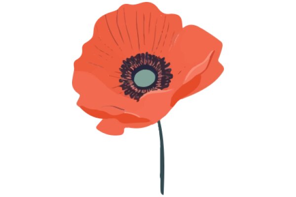 Vivid Illustration of a Poppy Flower