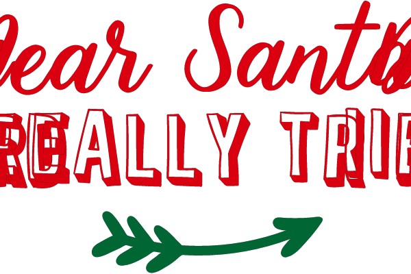 Dear Santa, I Really Tried