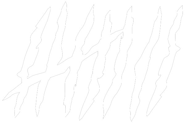 Dynamic Lines in Motion