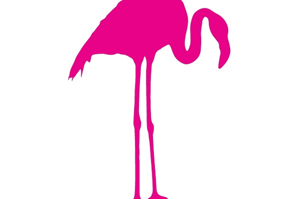 Pink Flamingo Silhouette on a White Background