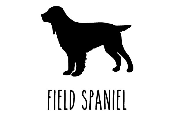 Field Spaniel