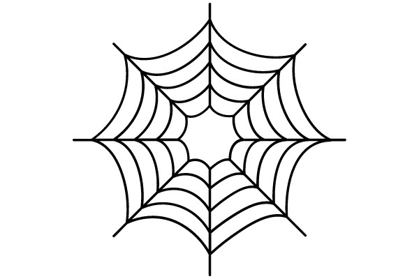 Spider Web Pattern