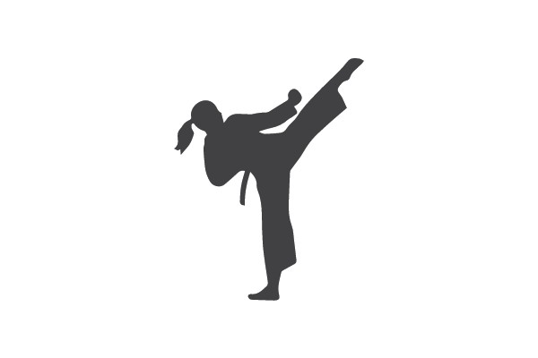Karate Kick Silhouette