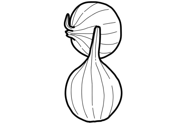 A Simple Line Drawing of a Garlic Bulb