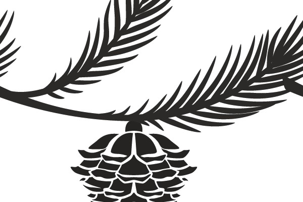 Silhouette of a Pine Cone and Branch