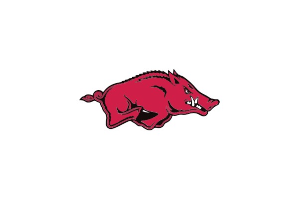 Hog Mascot in Motion