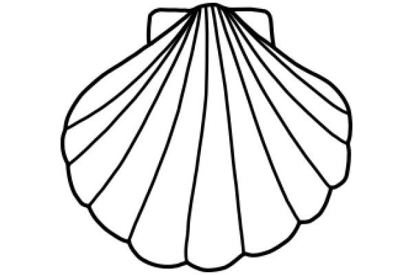 Stylized Line Drawing of a Shell