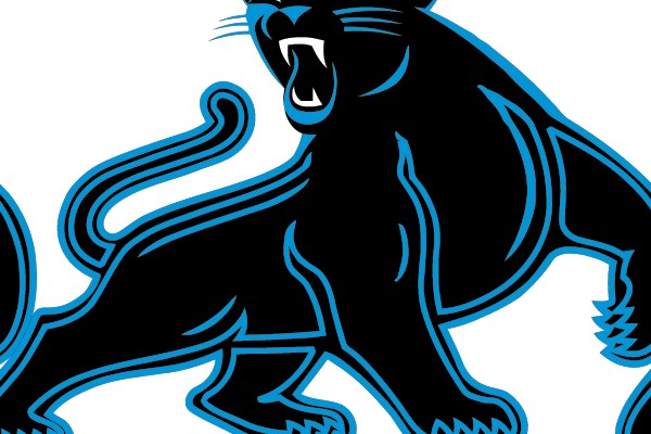 Raging Black Panther