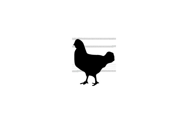 Silhouette of a Chicken