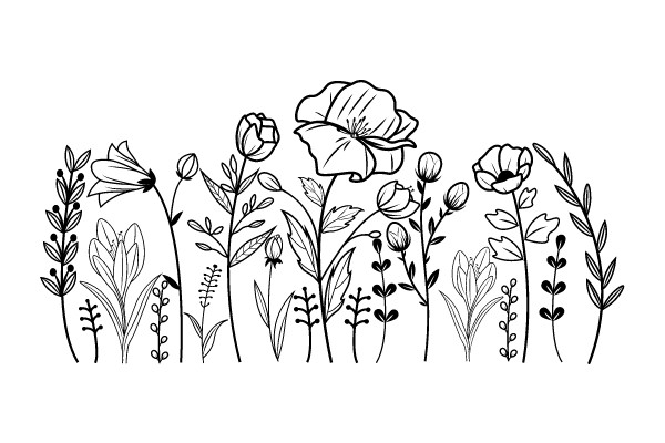 A Delicate Floral Illustration