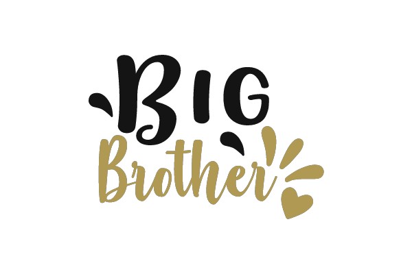 Big Brother