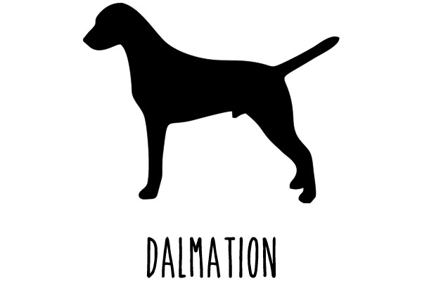 Dalmatian